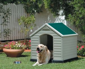 Chalet-jardin niche